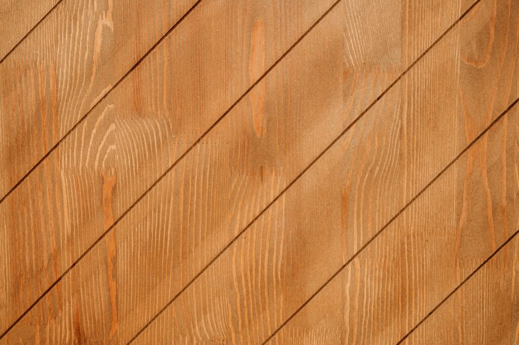 virginia marinova z0cppp8dwpe unsplash